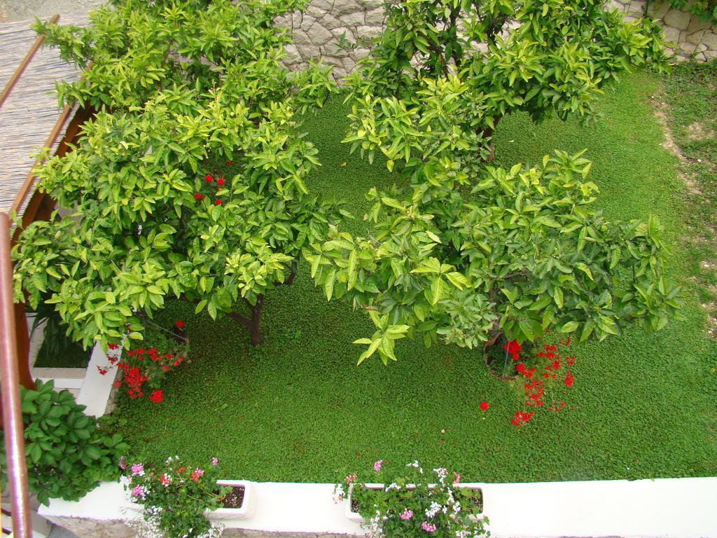 Apartments Villa Sunce Dugi Rat Εξωτερικό φωτογραφία
